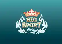 bigsport.by